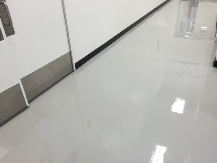Pharmaceutical Facilities Flooring
